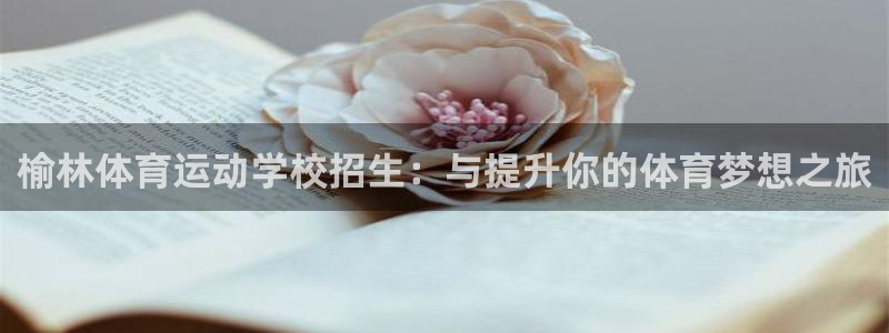 谈球吧体育：榆林体育运动学校招生：与提升你的体育梦想之旅