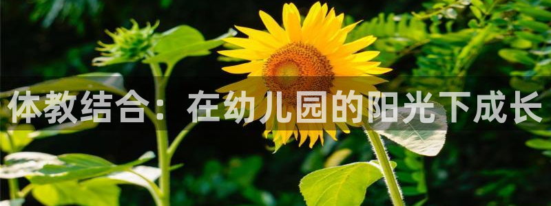 谈球吧体育：体教结合：在幼儿园的阳光下成长