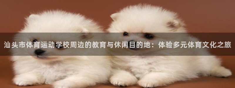 谈球吧：汕头市体育运动学校周边的教育与休闲目的地：体验多元体育文化之旅
