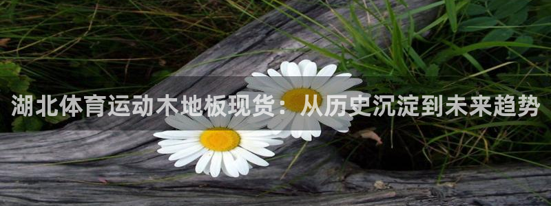 谈球吧体育：湖北体育运动木地板现货：从历史沉淀到未来趋势