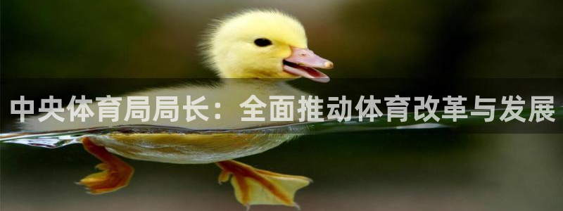 谈球吧体育官网：中央体育局局长：全面推动体育改革与发展