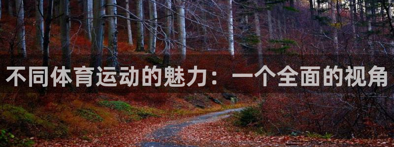 谈球吧体育官网：不同体育运动的魅力：一个全面的视角